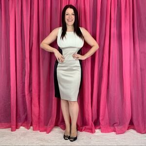 Chaya silky sheath cocktail party dress, size 10